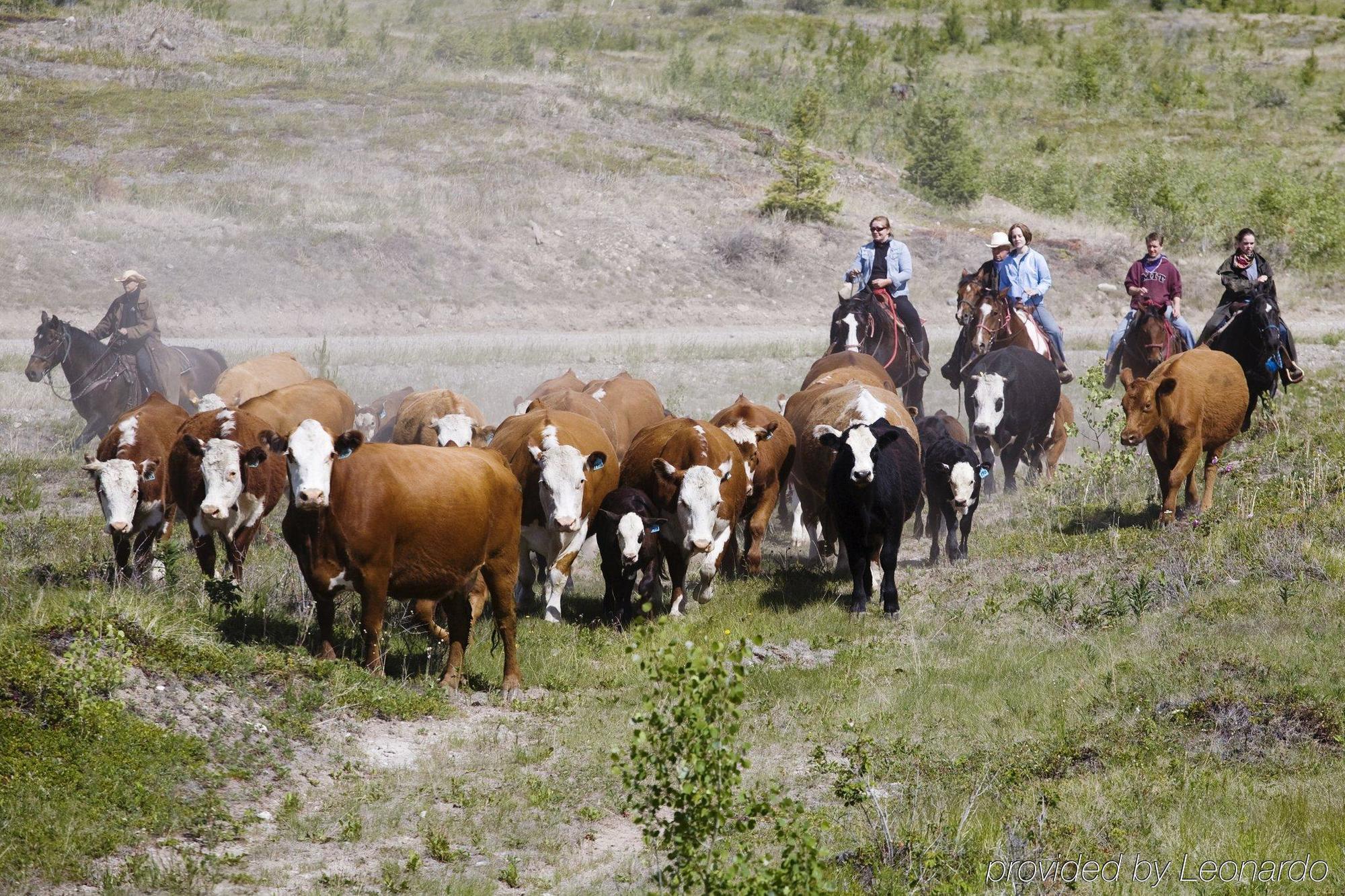 Echo Valley Ranch And Spa Clinton Bagian luar foto